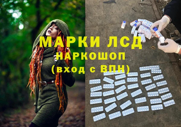 сатива Переславль-Залесский