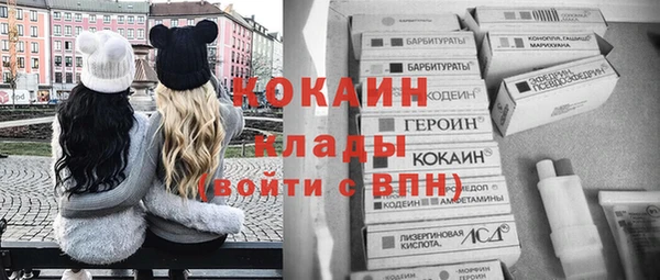 дживик Абинск