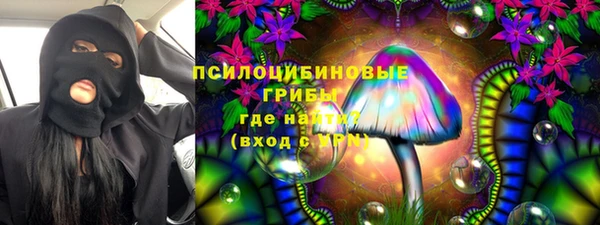 сатива Переславль-Залесский