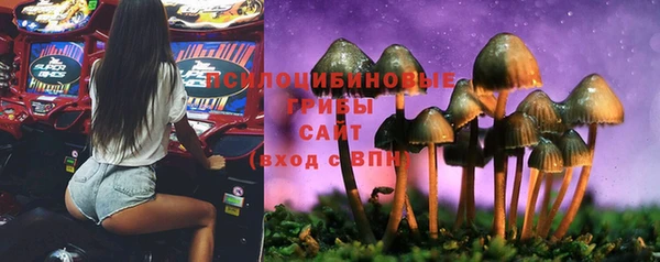 соль курить ск Абаза