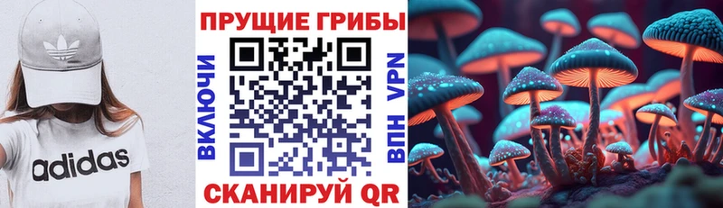 Псилоцибиновые грибы GOLDEN TEACHER  купить  цена  Рыльск 